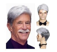 Parrucca sostitutiva Costume di Halloween Capelli for anziani Parrucca bianca argento da uomo Parrucche grigie sintetiche for toupet anziano Quotidiana