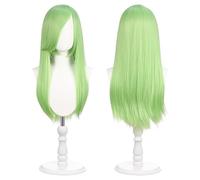 Parrucca universale per costumi 60cm pollici con 2 retine per capelli per cosplay, Halloween e feste a tema (Verde Chiaro)