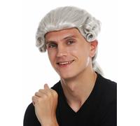 Parrucca Uomini Alta Qualità Storico Barocco Nobile Nobiluomo Grigio Chiaro