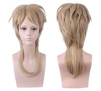 Parrucche bizzarre di JOJO Dio Brando Parrucca Costume Cosplay Resistente al calore Capelli sintetici Uomo Donna Parrucche da festa