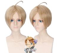 Parrucche cosplay America Alfred F Jones Capelli sintetici marroni corti per uomo APH Axis Powers Hetalia Parrucca cosplay + cappuccio parrucca aph pl-237