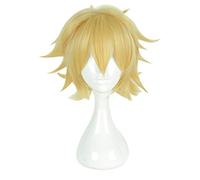 Parrucche Cosplay Anime Aotu World God Rose Parrucca Cosplay Parrucca sintetica resistente al calore Capelli Halloween Festa di Carnevale Gioco Parrucche Cosplay