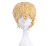 Parrucche cosplay APH 12 pollici principe capelli corti sintetici a strati soffici dorati per uomo APH Powers Axis Powers Parrucca cosplay Hetalia + cappuccio parrucca aph 049-12