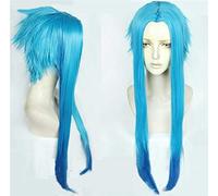 Parrucche cosplay di Borderlands 3 Maya Parrucca per capelli sintetica in fibra sintetica lunga blu ad alta temperatura Pelucas Maya taglia unica