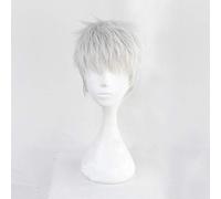 Parrucche Cosplay Kalim Al-Asim Twisted-Wonderland Parrucca sintetica resistente al calore corta argento grigio Parrucca costume anime Kalim Al-Asim