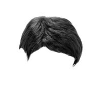 Parrucche da 25 cm da 10 pollici Uomo inclinato Bei corti e lisci Europa e Stati Uniti Copricapo completo in fibra di moda Testine per Parrucche (Black, One Size)