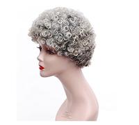 Parrucche Parrucca capelli corti grigio per le donne Parrucche ricci afro Parrucca da festa costa Capelli sintetici Capelli naturali(Style 1)
