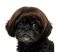Parrucche per cani stile umano regolabile frangia divertente | Copricapo per cani di Halloween, per cuccioli, gattini, feste, celebrazioni, passeggiate, fotografie, uso quotidiano