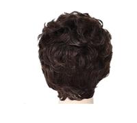 Parrucche ricci grigie corte Ombre 1pc for le donne parrucca cosplay resistente al calore for capelli sintetici con frangia costume for ragazze dorate(Brown)
