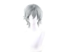 Parrucche sintetiche Cosplay Costume Wig, Parrucca sintetica for cosplay maschile, parrucca grigia corta da 35 cm, resistente al calore