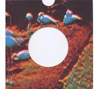 Parsley Sounds - Platonic Rate/You're Not Lost