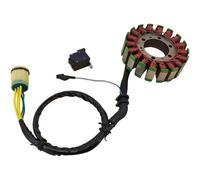 Parte della moto Bobina Statore Magnete Alternatore Per Moto Per Honda TRX500 Per Foreman Per Rubicon 500 2001-2004 31120-HN2-A21 31120-HN2-003