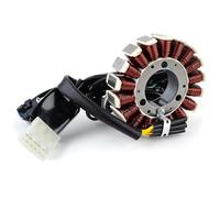 Parte della moto Bobina Statore Per Generatore Di Corrente Per Moto Per Kawasaki KLX250 KLX250S 2009 2010 2011 2012 2013 2014 KLX250SF 21003-0087