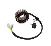 Parte della moto Bobina Statore Per Generatore Di Ricambi Per Moto Per Kymco Per Downtown 300i ABS 2011 2012 2013 2014 31120-LEA7-E0B