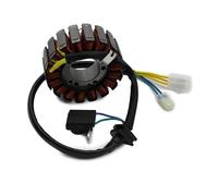 Parte della moto Bobina Statore Per Generatore Di Ricambi Per Moto Per Kymco Per Shadow 300 Per Center 200i 2010 Per Dink Street 300i ABS 31120-LEA7-E0B