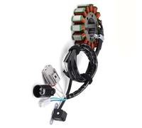 Parte della moto Generatore Di Statore Magnete Per Componenti Per Motociclette Per Kawasaki KRT800 Teryx4 Camo LE