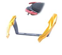 Parte della motocicletta Per Benelli Leoncino 250 Accessori Moto Bracciolo Posteriore Supporto Per Equilibrio Maniglia Di Sicurezza Per Passeggero Corrimano(Gold)