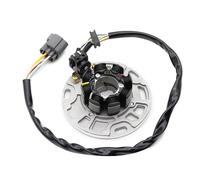 Parte dello statore magneto 21003-1339 Bobina Statore Motore Generatore Magneto Per Motocicletta Per Kawasaki KX125 KX125-L1 1999