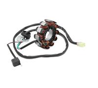Parte dello statore magneto Generatore Di Statore Bobina Magnete Per Componenti Motociclette Per Yamaha XL1200 LTD XA1200Y XLT1200 XA1200AZ XA1200AB XA1200AC