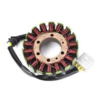 Parte dello statore magneto Generatore Di Statore Magnete Per Componenti Per Motociclette Per Honda CBR600RR CBR600 F5 2003 2004 2005 2006
