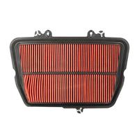 Parte filtro dell'aria Per Tiger 800 XC/XCX/XR/XRX 2010 2011 2012 2013 2014 2015 2016 2017 2018 2019 Griglia Di Pulizia Del Filtro Aria Per Moto