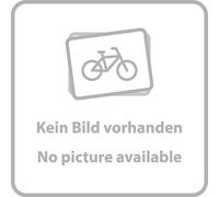 Parte interna gabbia deragliatore posteriore XXSL/XX/X0 T-Type Eagle AXS