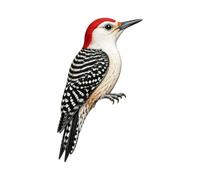 Parte superiore per porta e decorazione da parete, rustico, in legno | Statuetta angolare per porta con uccellino Chickadee per ingresso, scaffale, finestra, portico, corridoio, capanna, patio, D