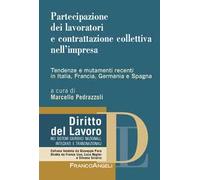Partecipazione dei lavoratori e contrattazione collettiva nell'impresa. Tendenze e mutamenti recenti in Italia, Francia, Germania e Spagna