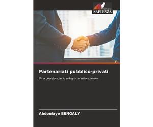 Partenariati pubblico-privati: Un acceleratore per lo sviluppo del settore privato