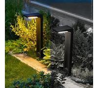 Partenopea® Lampada Solare Giardino a Picchetto piccolo lampioncino luce da segnapasso per viali sentieri giardino con Pannello impermeabile (Luce calda e Luce fredda) 1pz.