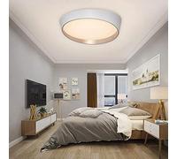 Partenopea Plafoniera Lampadario da soffitto a led con Luce cerchio Design Stile Moderno Lampada per Camera Cucina Salotto Locali Commerciali (Tonda luce calda 3000k)