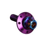 Parti a vite Vite Parafango Modificata Per Auto Elettrica Per Motocicletta Forcella Piatta Colore Acciaio Inossidabile M6 Cuscinetto Tappo Esagonale Esterno(Colorful+purple)