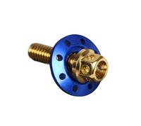 Parti a vite Vite Parafango Modificata Per Auto Elettrica Per Motocicletta Forcella Piatta Colore Acciaio Inossidabile M6 Cuscinetto Tappo Esagonale Esterno(Gold+blue)