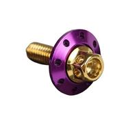 Parti a vite Vite Parafango Modificata Per Auto Elettrica Per Motocicletta Forcella Piatta Colore Acciaio Inossidabile M6 Cuscinetto Tappo Esagonale Esterno(Gold+purple)