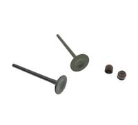parti Adatto for 125 come 125 Peop S 125 Movie XL 125 Supe 8 125 CK125 125cc Valvola di aspirazione Stelo di scarico Guarnizione olio valvola