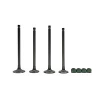 parti Adatto for GN250 DR250 EN250 GZ250 GN DR EN GZ Mara 250 12911-38200 12912-38201 Guarnizione olio stelo valvola di aspirazione e scarico(Valve 2 Pair)