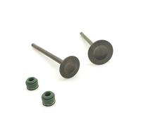 parti Adatto for XL125S 79-83 XL185S 79-93 XR200R 81-88 90-91 XLS 125 185 XR 200 R Valvola motore Stelo di scarico Valvola paraolio