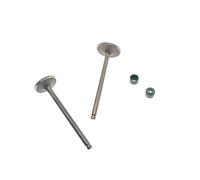 parti Adatto for Zong CB200 CB250-G LIf 200 cc 200CC Alesaggio 66mm Valvola Aspirazione Stelo Scarico Valvola Paraolio