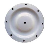 Parti degli accessori a membrana for la pompa pneumatica a membrana QBK40/QBK25(F46 1pcs)
