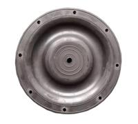 Parti degli accessori a membrana for la pompa pneumatica a membrana QBK40/QBK25(N B R 1pcs)