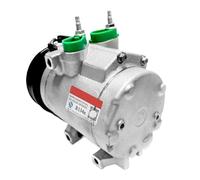 Parti Del Compressore Automobilistico AC