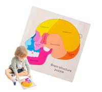 Parti del corpo puzzle, puzzle del corpo umano - Puzzle del corpo umano per bambini 3-5,Scheletro dettagliato interattivo educativo per lo sviluppo cognitivo Esperimenti pratici