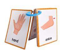 Parti del corpo - Set di carte di vocabolario inglese per bambini, carte di sviluppo linguistico, carte educative con 15 carte educative per la scuola materna elementare a casa