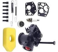 Parti del motore, filtro per dell'aria carburatore, molla regolatore per per Briggs Carb