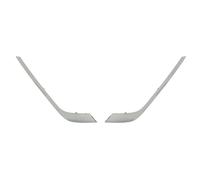BLIC 5510-00-6040921P Kit modanature decorative / protettive, Griglia radiatore
