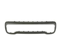 Listello decorativo anteriore Sx 6502-07-3216921P BLIC