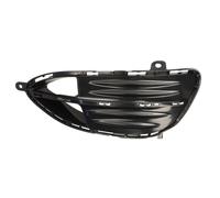 BLIC 6502-07-3529912PP Cornice, Fendinebbia