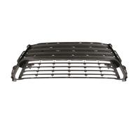 Parti del paraurti BLIC 6502-07-8173916P