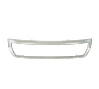 Parti della griglia del radiatore BLIC 6502-07-0554910P