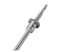 Parti della macchina a vite a sfere a movimento li Vite A Sfere C5 SFU1204 200mm-1200mm Con Flangia E Dado Singolo Lavorato All'estremità(600mm)